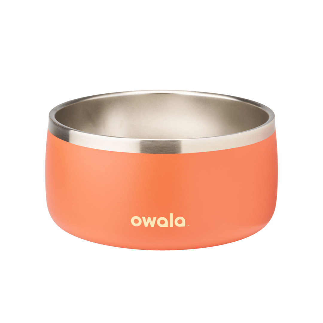 Pet Bowl J1