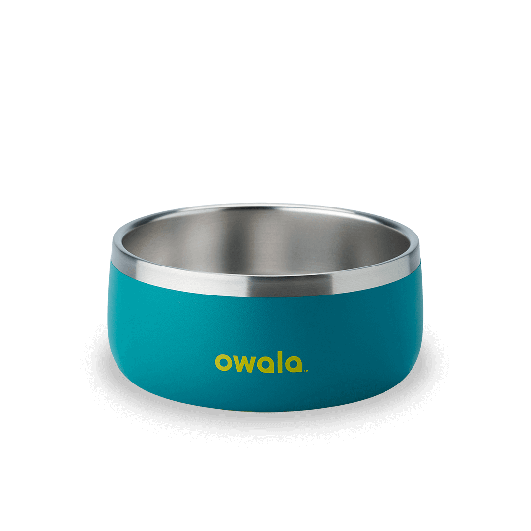 Pet Bowl J1